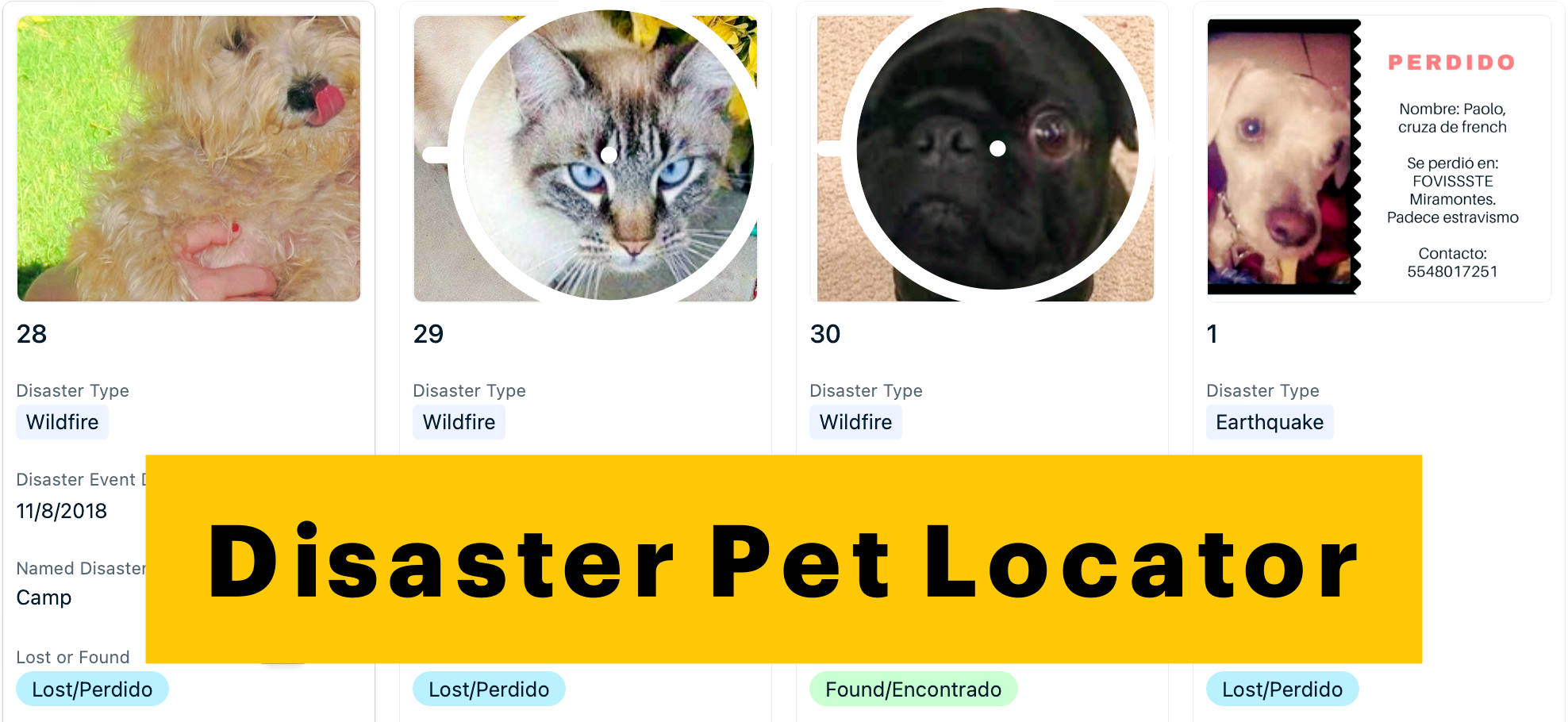 Disaster Pet Locator